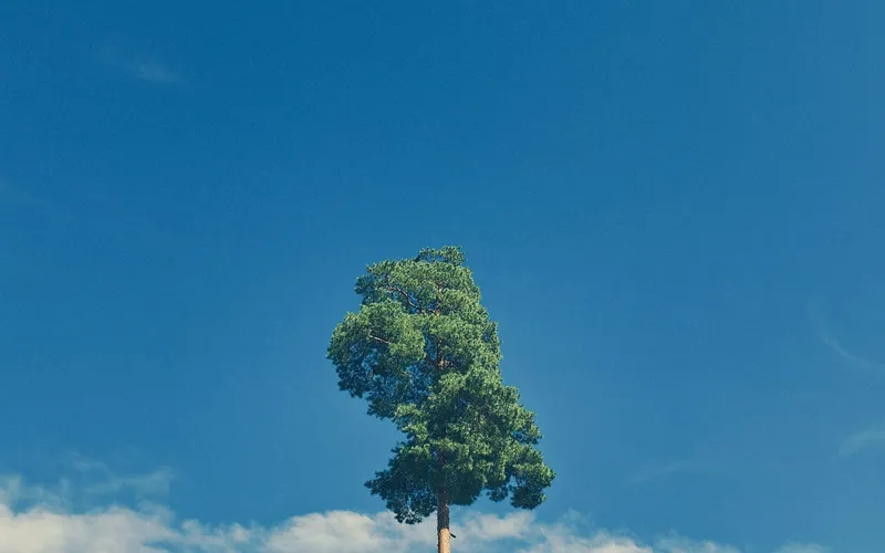 Veltwaarde Fondsenwerving