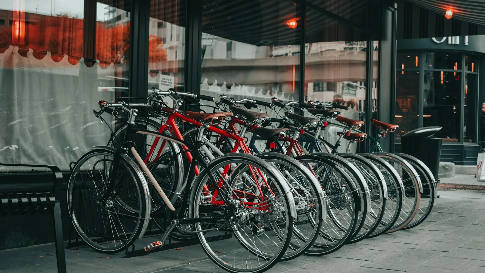 Bike Rentals