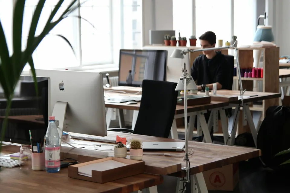 Small Businesses and Startups