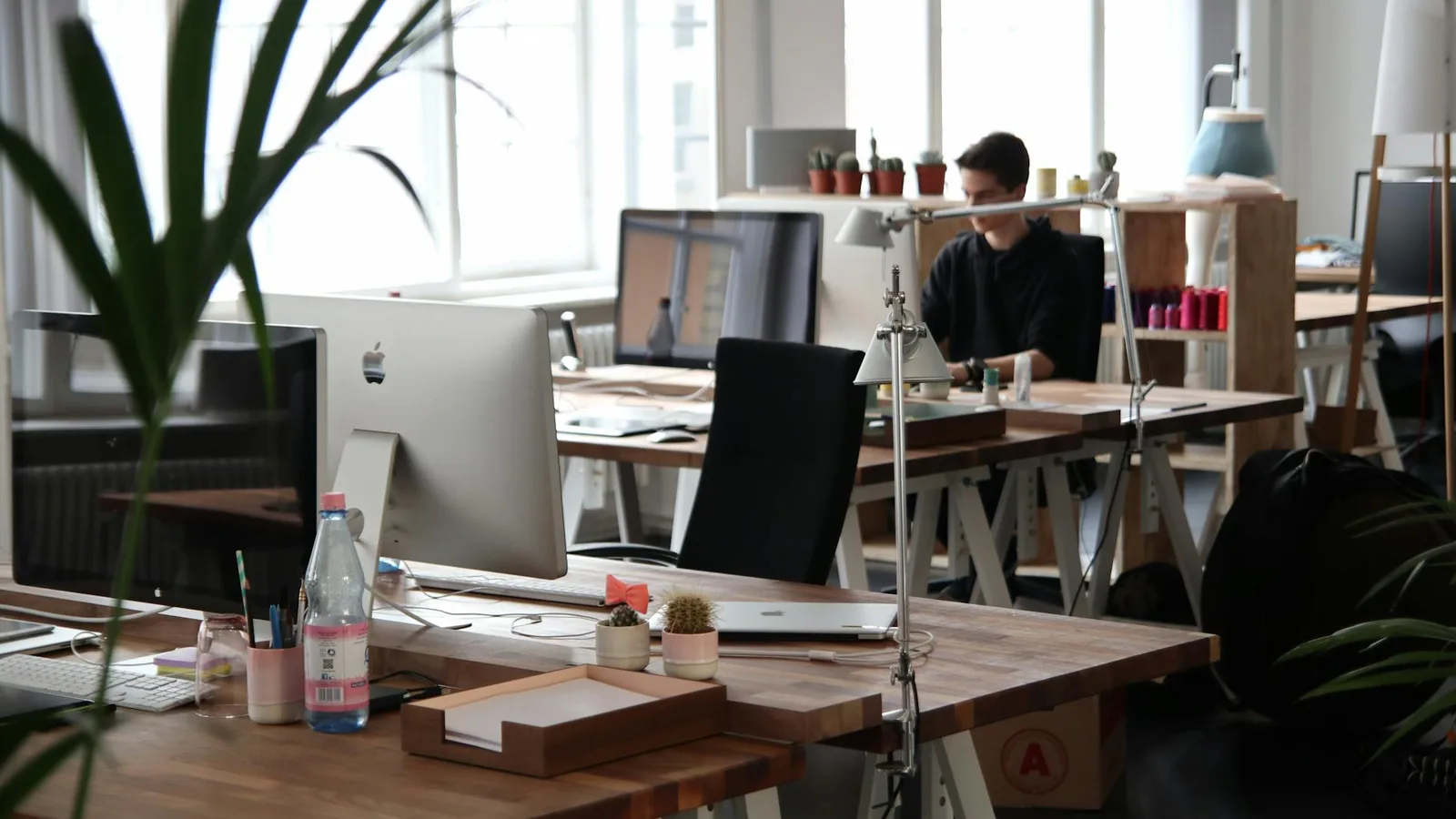 Small Businesses and Startups